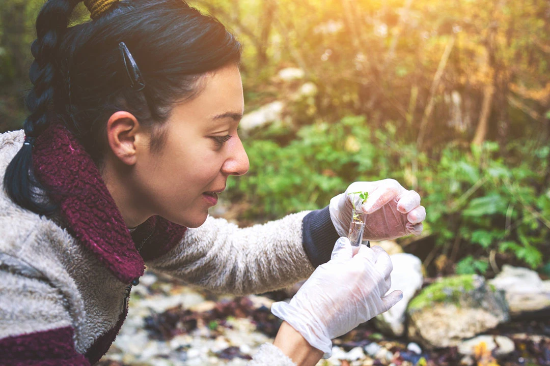 scientist in the field