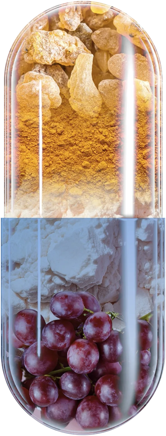 pill with ingredients