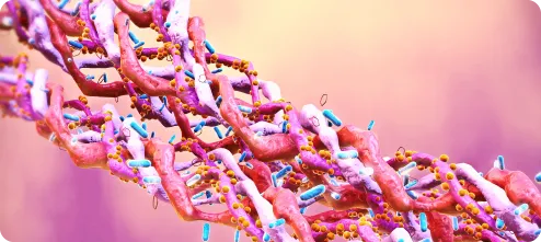 joint structure
